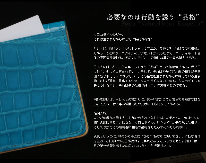 Crocodile Cardcase（クロコダイル 名刺ケース）【10月19日頃出荷】