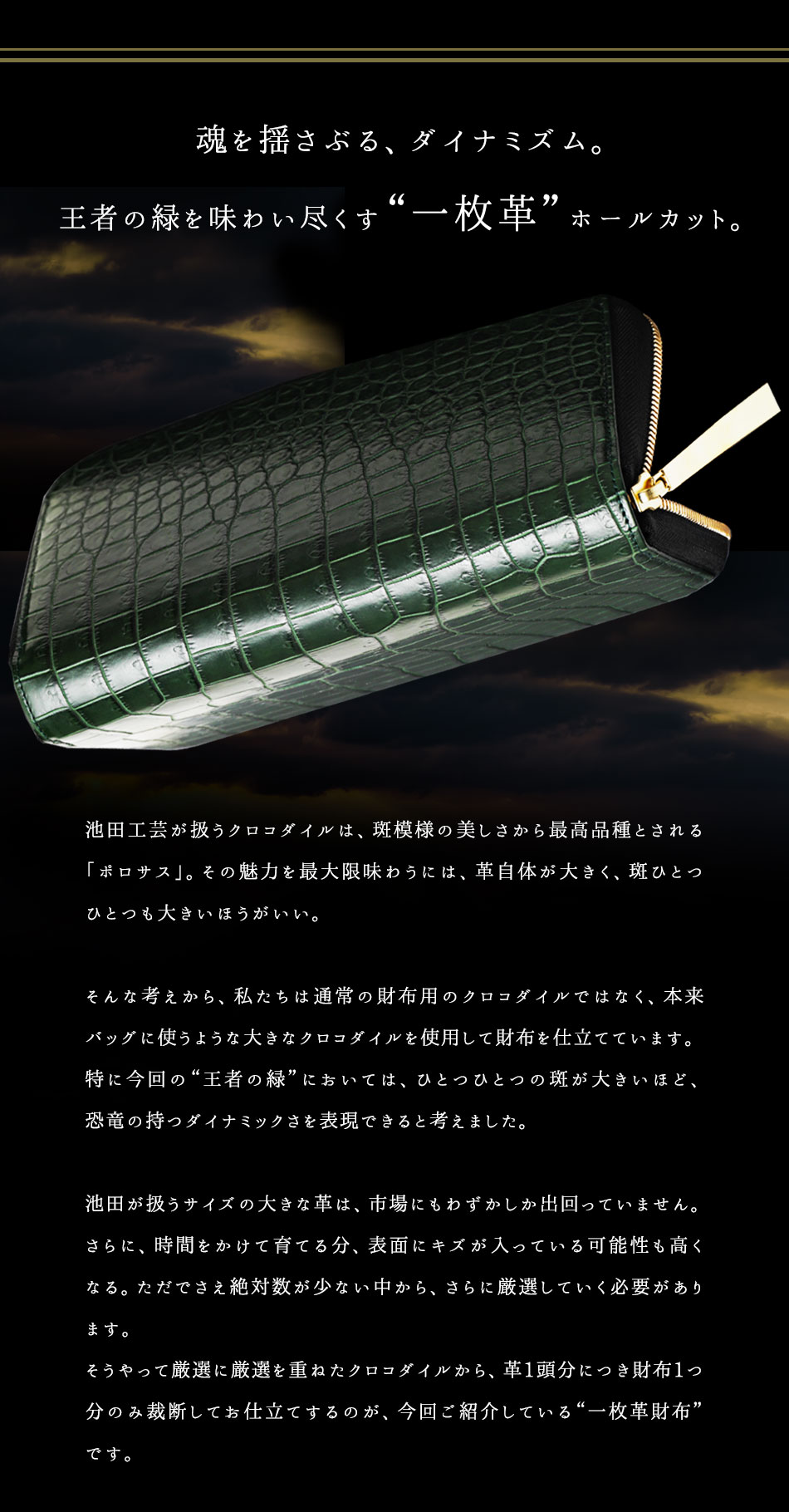 池田工芸が扱うクロコダイルは、斑模様の美しさから最高品種とされる「ポロサス」。その魅力を最大限味わうには、革自体が大きく、斑ひとつ ひとつも大きいほうがいい。そんな考えから、私たちは通常の財布用のクロコダイルではなく、本来バッグに使うような大きなクロコダイルを使用して財布を仕立てています。特に今回の“王者の緑”においては、ひとつひとつの斑が大きいほど、恐竜の持つダイナミックさを表現できると考えました。池田が扱うサイズの大きな革は、市場にもわずかしか出回っていません。さらに、時間をかけて育てる分、表面にキズが入っている可能性も高くなる。ただでさえ絶対数が少ない中から、さらに厳選していく必要があります。そうやって厳選に厳選を重ねたクロコダイルから、革1頭分につき財布1つ分のみ裁断してお仕立てするのが、今回ご紹介してい“一枚革財布”です。