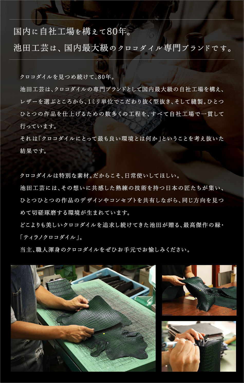 【国内に自社工場を構えて80年】池田工芸は、国内最大級のクロコダイル専門ブランドです。クロコダイルを見つめ続けて、80年。池田工芸は、 クロコダイルの専門ブランドとして国内最大級の自社工場を構え、 レザーを選ぶところから、 1ミリ単位でこだわり抜く型抜き、 そして縫製。 ひとつ ひとつの作品を仕上げるための数多くの工程を、すべて自社工場で一貫して 行っています。それは「クロコダイルにとって最も良い環境とは何か」ということを考え抜いた結果です 。クロコダイルは特別な素材。 だからこそ、 日常使いしてほしい。池田工芸には、その想いに共感した熟練の技術を持つ日本の匠たちが集い、 ひとつひとつの作品のデザインやコンセプトを共有しながら、 同じ方向を見つ めて切磋琢磨する環境が生まれています。どこよりも美しいクロコダイルを追求し続けてきた池田が贈る、 最高傑作の緑・ 「ティラノクロコダイル」。当主、職人渾身のクロコダイルをぜひお手元でお愉しみください。