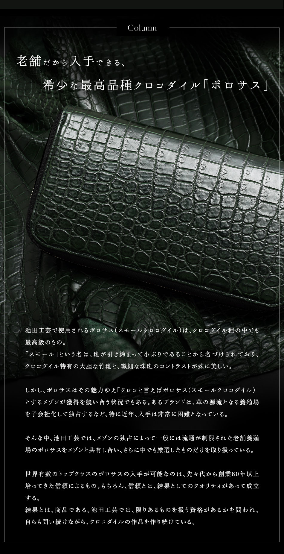 ＜Column＞老舗だから入手できる、希少な最高品種クロコダイル 「ポロサス」｜池田工芸で使用されるポロサス(スモールクロコダイル) は、 クロコダイル種の中でも 最高級のもの。「スモール」という名は、斑が引き締まって小ぶりであることから名づけられており、 クロコダイル特有の大胆な竹斑と、繊細な珠斑のコントラストが殊に美しい。しかし、ポロサスはその魅力ゆえ 「クロコと言えばポロサス (スモールクロコダイル)」 とするメゾンが獲得を競い合う状況でもある。 あるブランドは、革の源流となる養殖場 を子会社化して独占するなど、 特に近年、 入手は非常に困難となっている。そんな中、池田工芸では、 メゾンの独占によって一般には流通が制限された老舗養殖 場のポロサスをメゾンと共有し合い、さらに中でも厳選したものだけを取り扱っている。世界有数のトップクラスのポロサスの入手が可能なのは、 先々代から創業80年以上 培ってきた信頼によるもの。 もちろん、 信頼とは、結果としてのクオリティがあって成立 する。結果とは、商品である。 池田工芸では、限りあるものを扱う資格があるかを問われ、 自らも問い続けながら、 クロコダイルの作品を作り続けている。